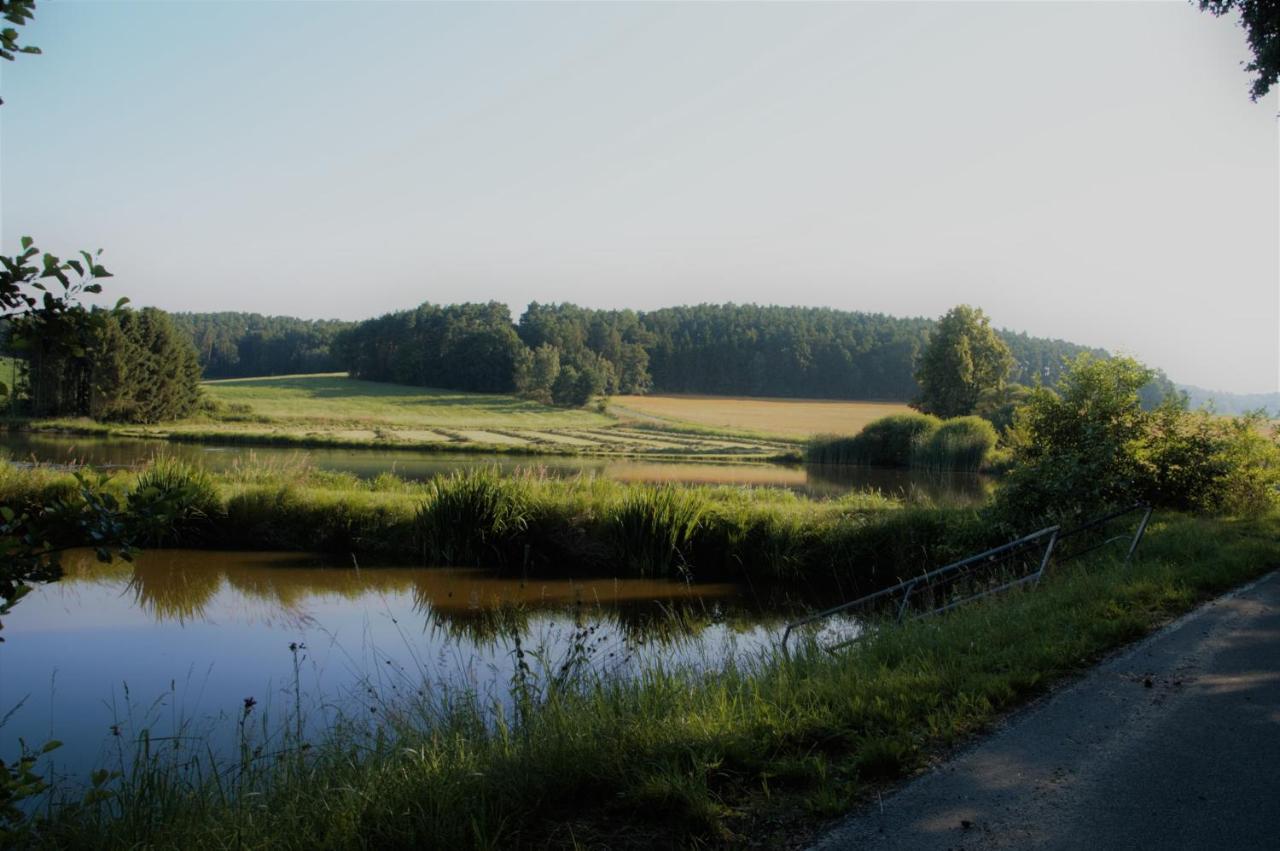 Ferienwohnung Seenglueck Wackersdorf Buitenkant foto