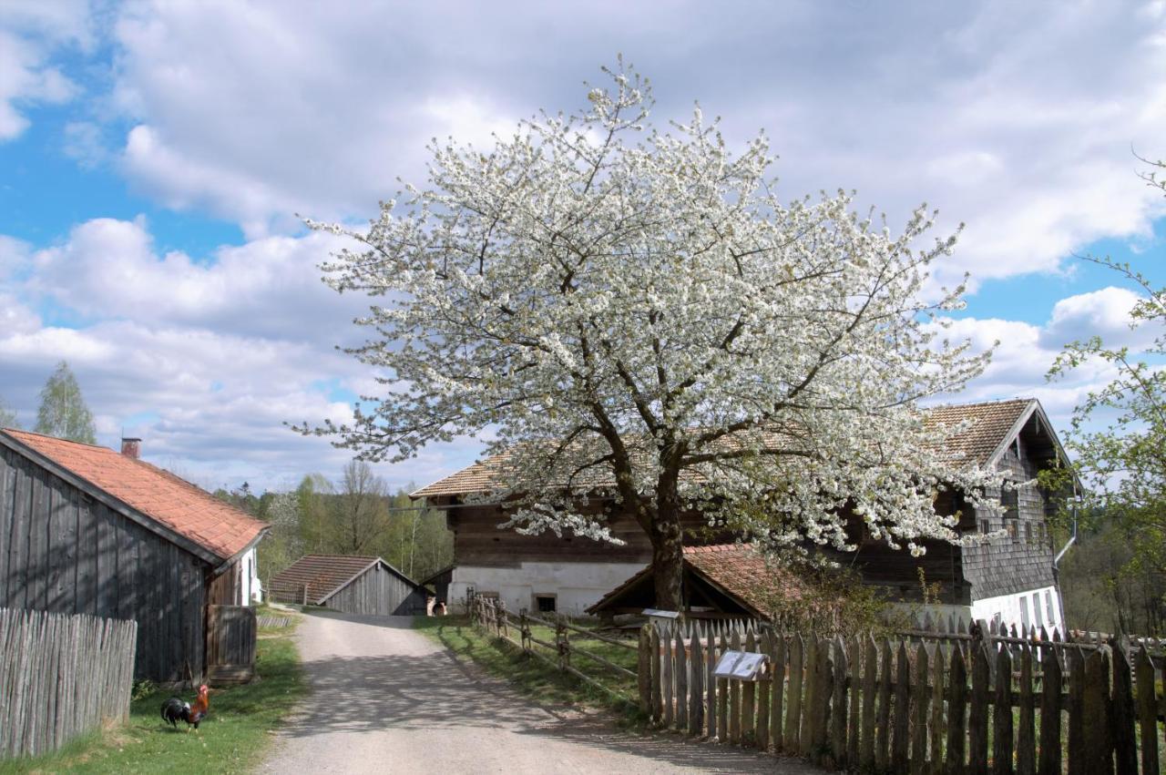 Ferienwohnung Seenglueck Wackersdorf Buitenkant foto